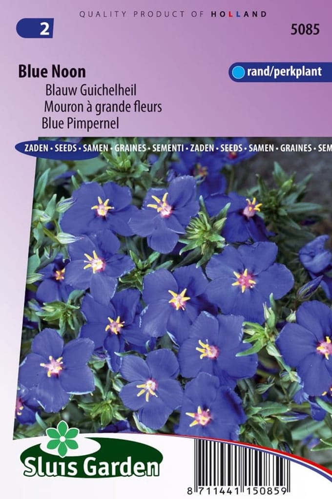 Sluis Garden Blauw Guichelheil Blue Noon