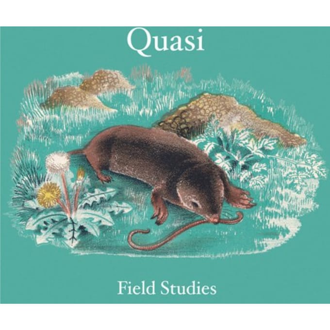 Field Studies - Quasi