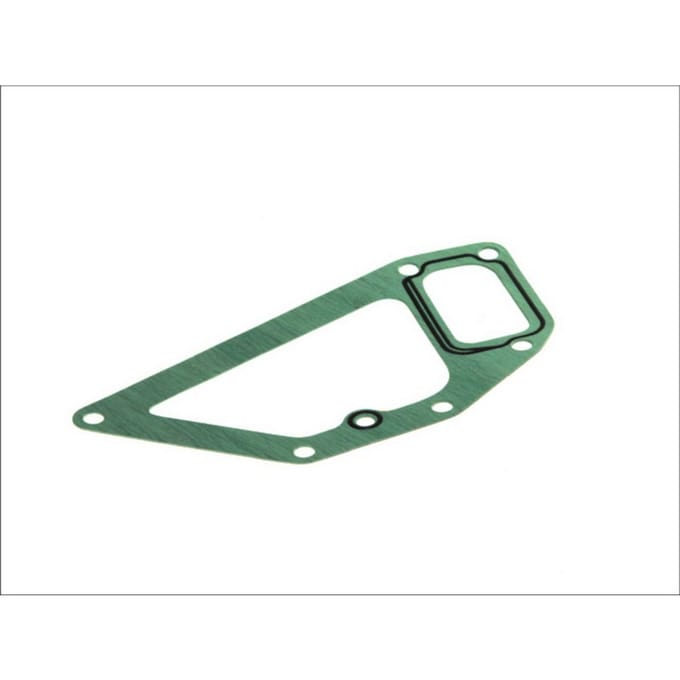 Pakking, waterpomp DT Spare Parts 5.41048