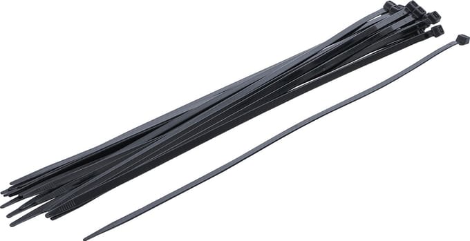 BGS Kabelbinder assortiment zwart 7,6 x 500 mm 20 delig