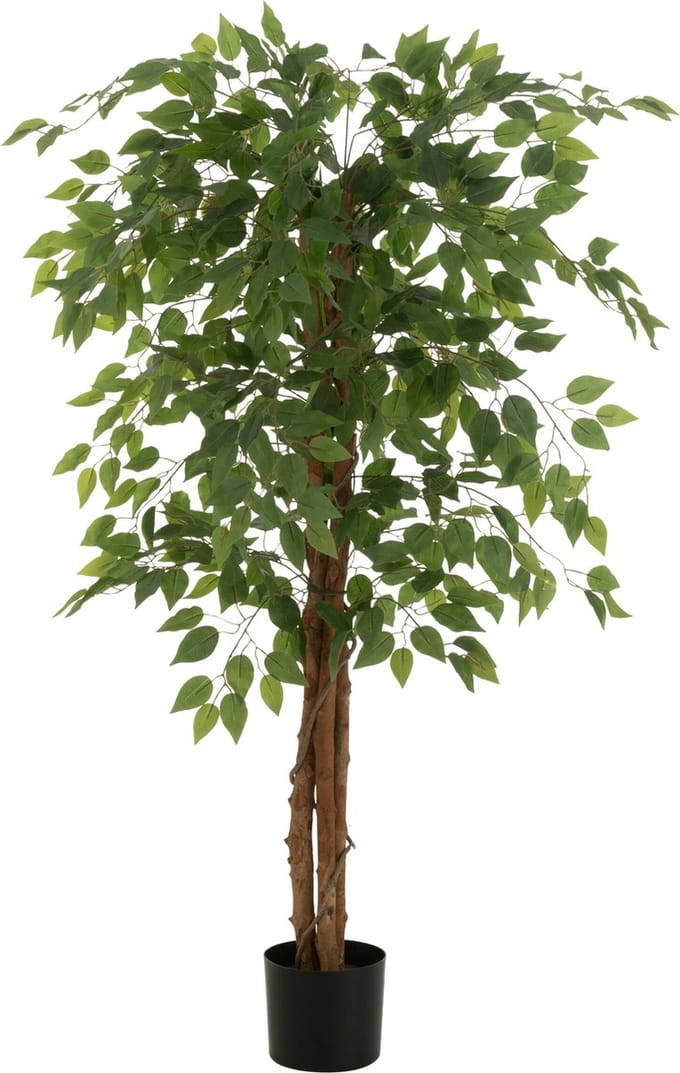 J-Line ficus in Pot - kunststof - lichtgroen