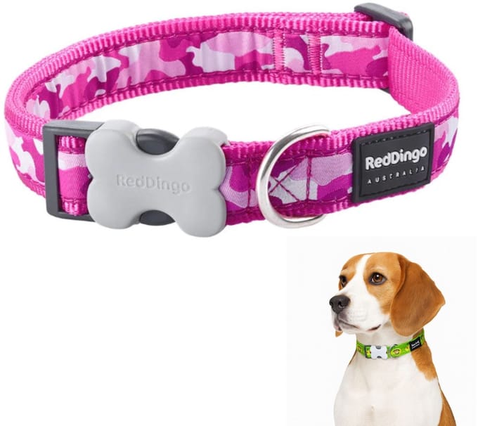 Dog collar Red Dingo Fuchsia Camouflage (1,5 x 24-36 cm)