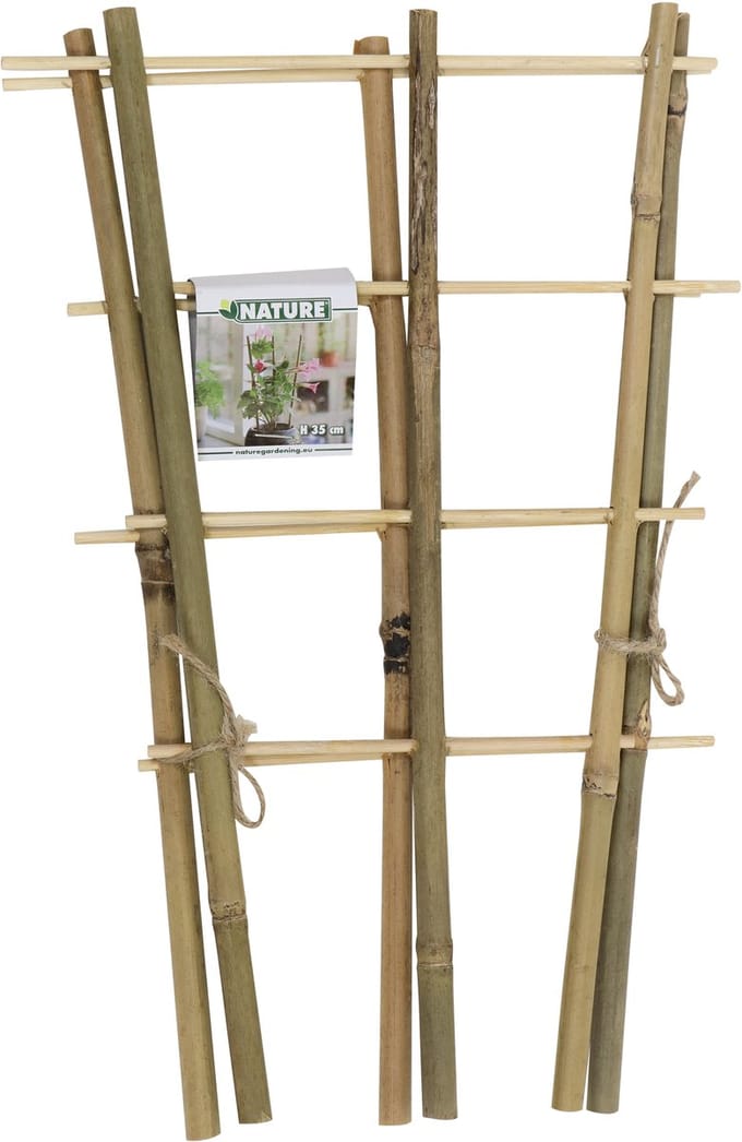 Driesprong collection - Bamboeplantrekje h35b18 cm s2st