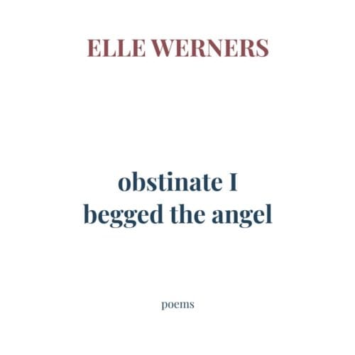 Obstinate I Begged The Angel - ELLE WERNERS