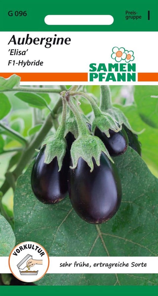Aubergine, Elisa - Bestseller groentezaden