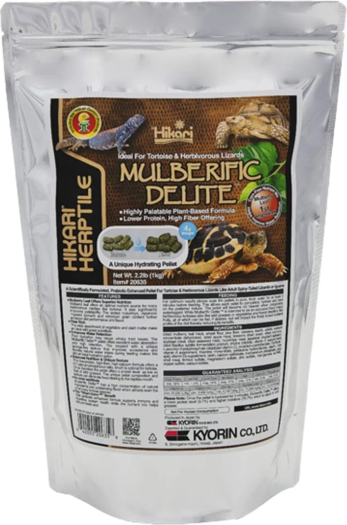 Hikari Turtle Mulberific
