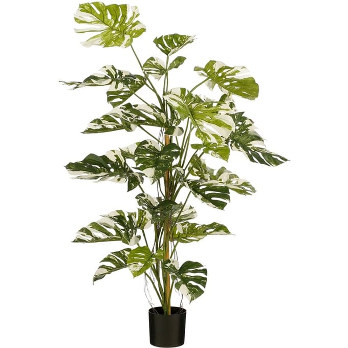 Mica Decorations Monsteraboom Kunstplant - H140 x Ø120 cm - Groen