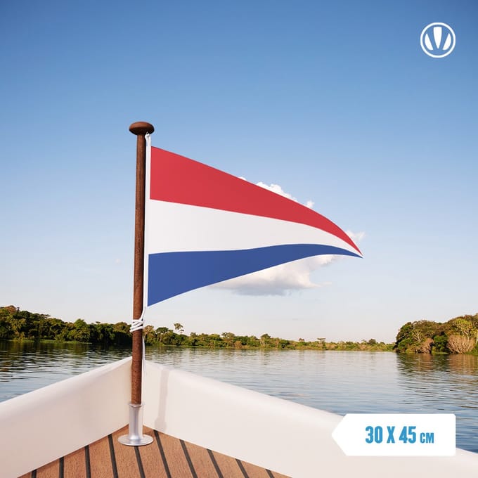 Nederlandse puntvlag 30x45cm