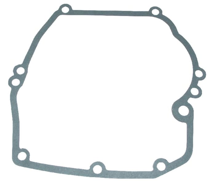 Briggs & stratton carterpakking (4182)