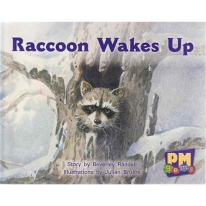 Raccoon Wakes Up - Smith, Annette