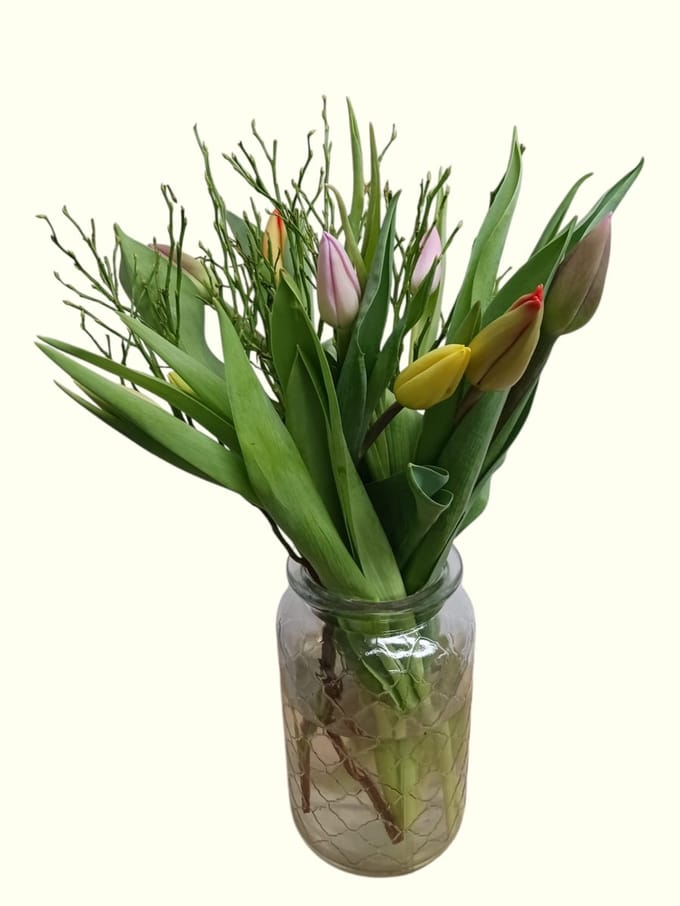 Tulpenmix en Bosbes - (10 Stelen Tulp, 2 Stelen Bosbes)