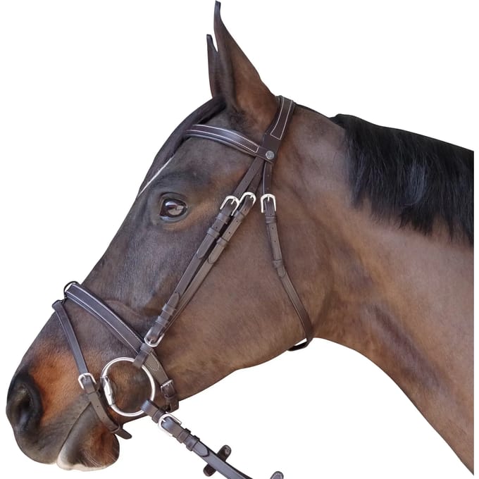 Hoofdstellen, plat, gevoerd Canter