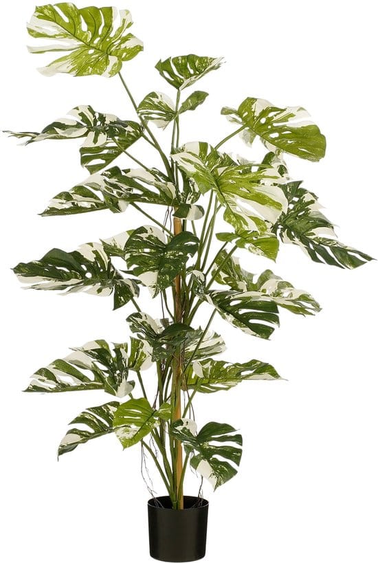 Mica Decorations Monsteraboom Kunstplant - H140 x Ø120 cm - Groen
