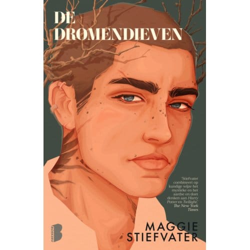 De Dromendieven - Raven - Maggie Stiefvater