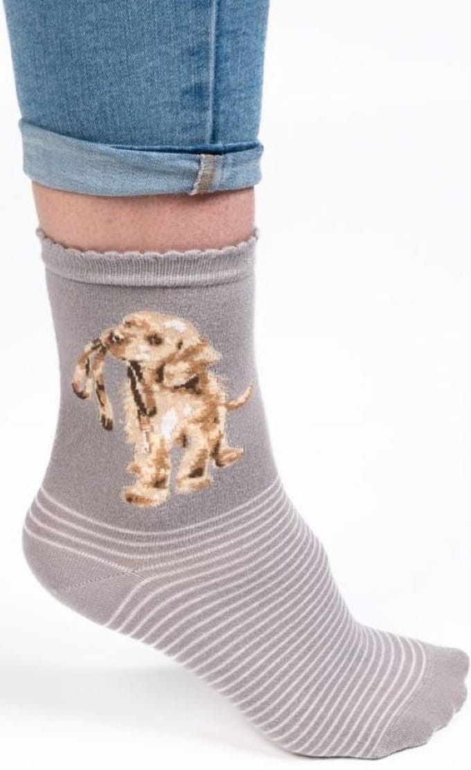 Wrendale Sokken - Hond (Grijs) 'Hopeful' Labrador sock
