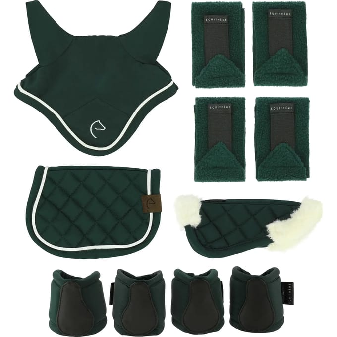 Mini accessoires set voor Hobby Horse Equithème (x5)