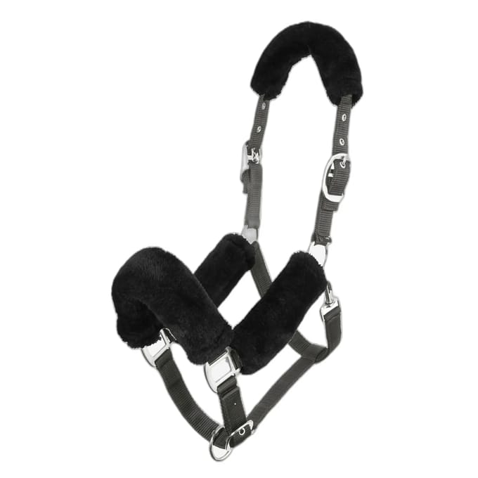 Halster voor paarden LeMieux Comfort