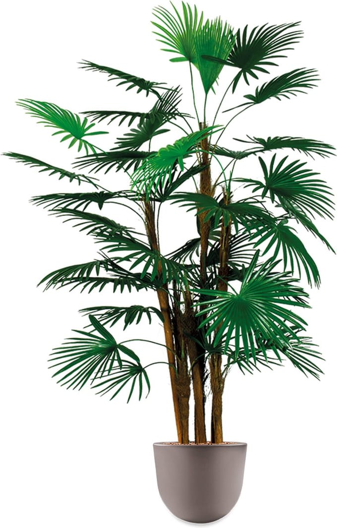 HTT - Kunstplant Rhapis palm in Eggy taupe H125 cm