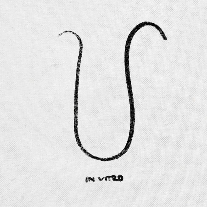 We Don't Suck, We Blow - In Vitro (CD)