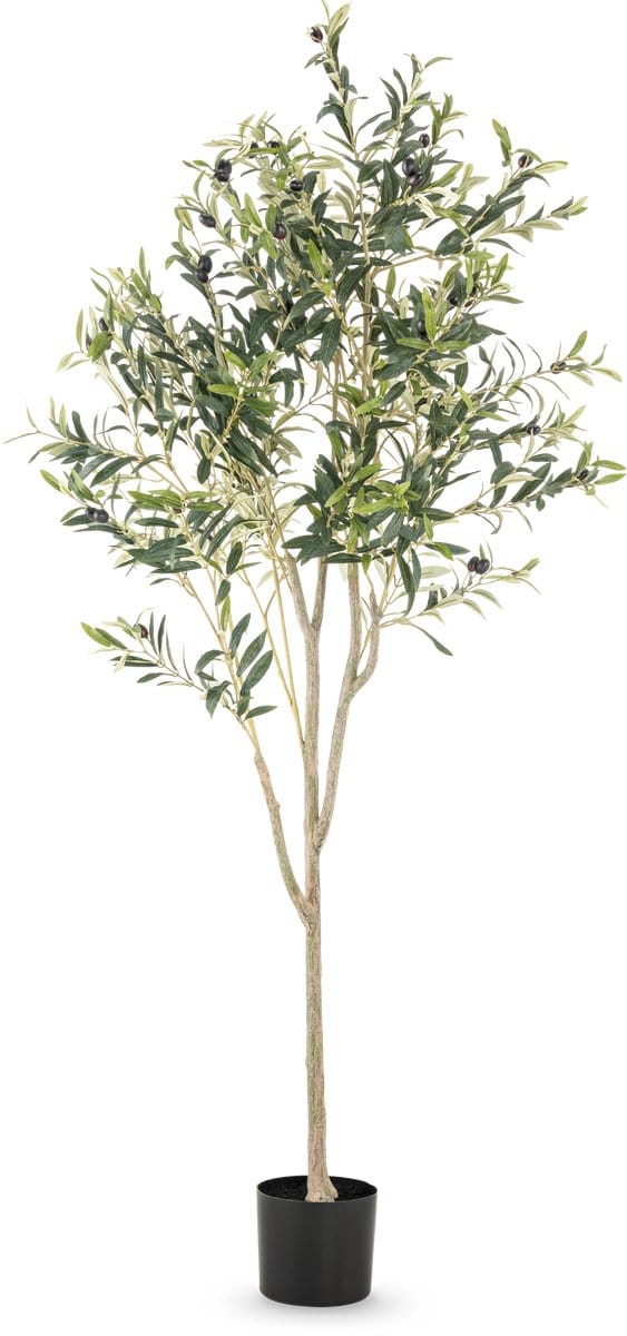 Easyplants | Kunst Olijfboom 180 cm | Zijde | Olea | Olijfgroen