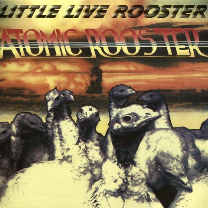 Little Live Rooster