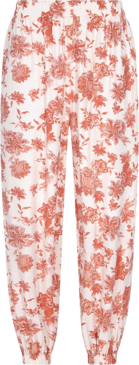 usha Broek