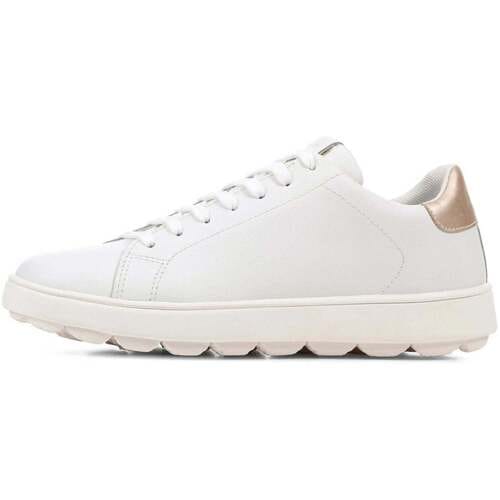 Geox Spherica Ecub-1 Schoenen Wit EU 38 Vrouw