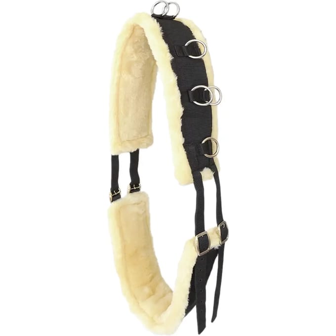 Surfplank voor paarden Hispano Hipica Doma