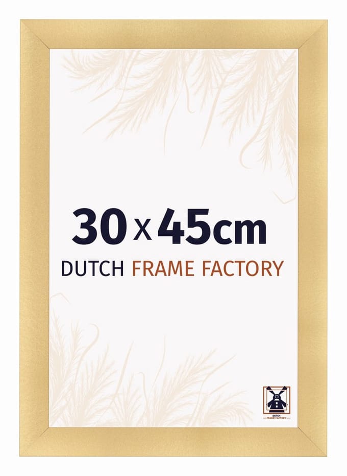 Fotolijst 30x45 cm - MDF - Goud Mat - Praag