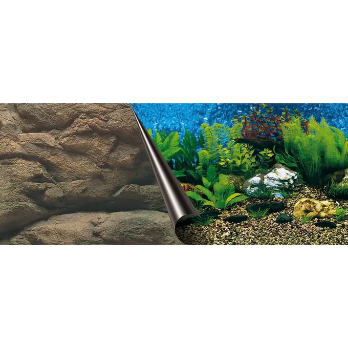 Aquarium achtergrond poster Aqua Della Sea & Rock