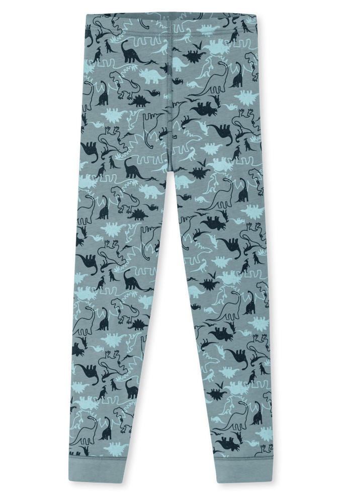 Lange onderbroek 2 set van 2 Dinos blauw/ groen - 95/5 92