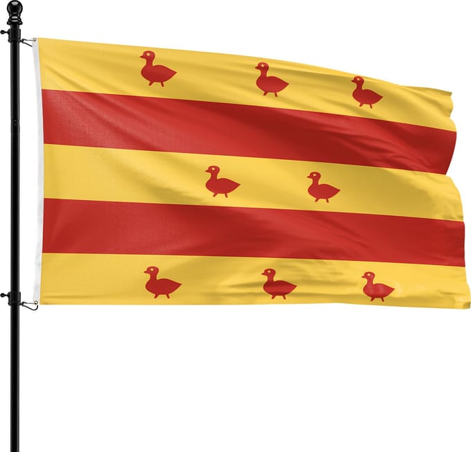 VlagDirect - Grave vlag - Gemeente Grave vlag - 90 x 150 cm.
