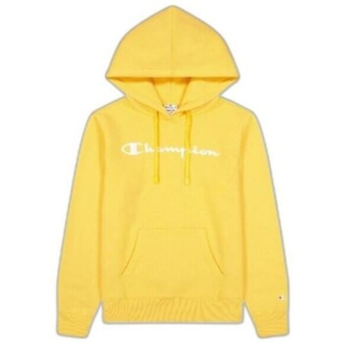 Capuchon sweaters Champion Legacy