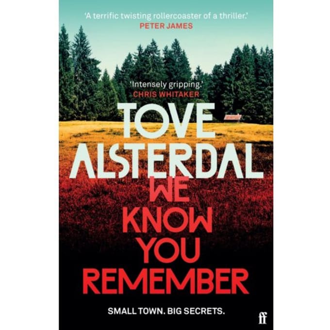 We Know You Remember - High Coast Series - Tove Alsterdal