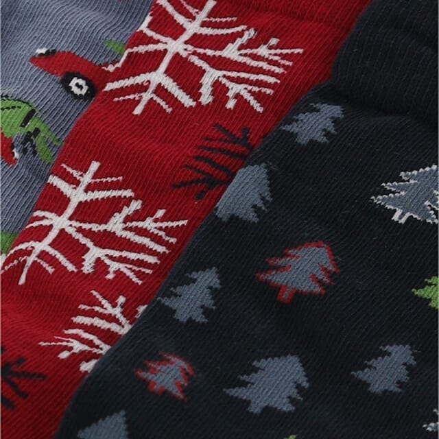 Apollo Heren Kerstsokken Giftbox 3-Pack - Maat 41-46