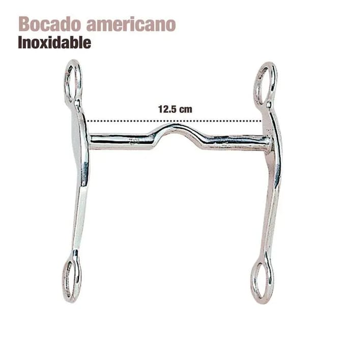 Mors voor Amerikaanse paard Zaldi 255291