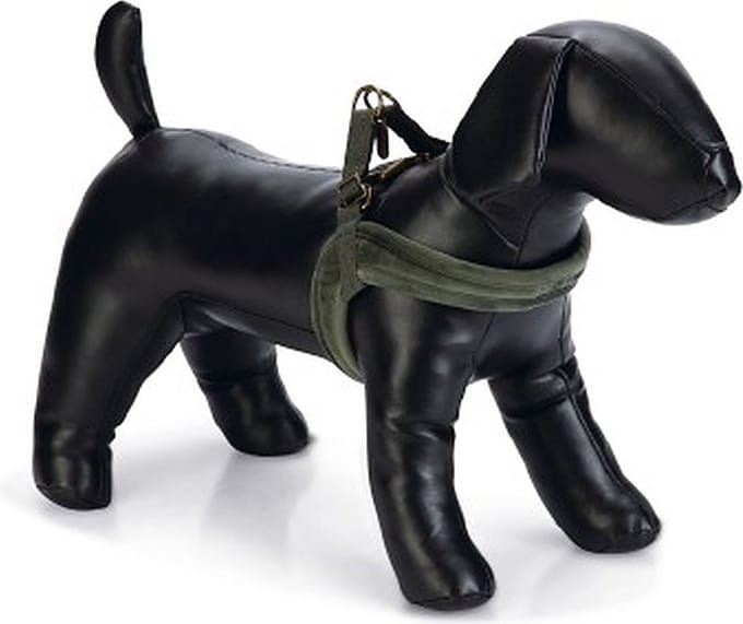 Designed by Lotte Velura - Hondentuig - Groen - M - 20 mm x 58 cm