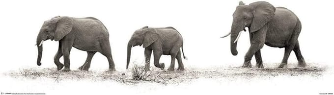Mario Moreno The Elephants Poster 30.5x91.5cm