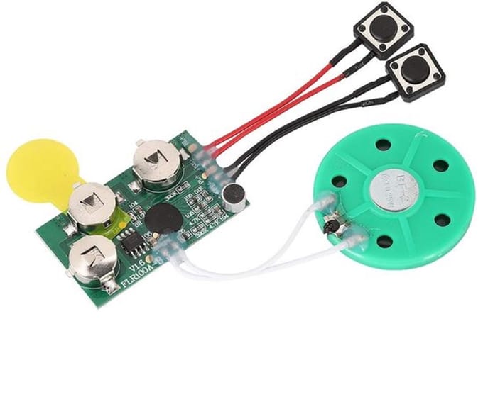 Allecto - Opneembare spraakmodule - Geluidsmodule - Eenvoudig in