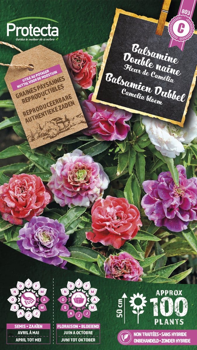 Protecta Bloemen zaden: Balsamien Camelia dubbel