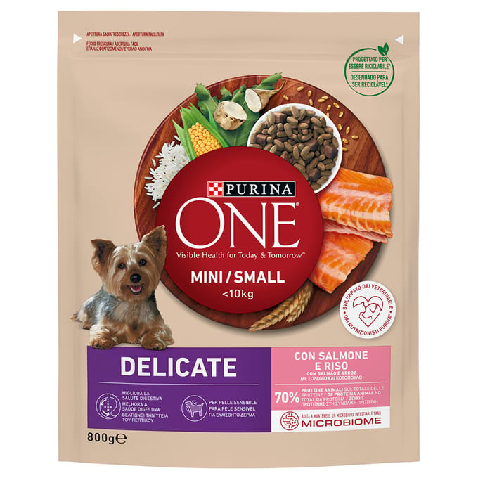 800g Purina ONE Mini Delicate Zalm & Rijst Hondenvoer Droog