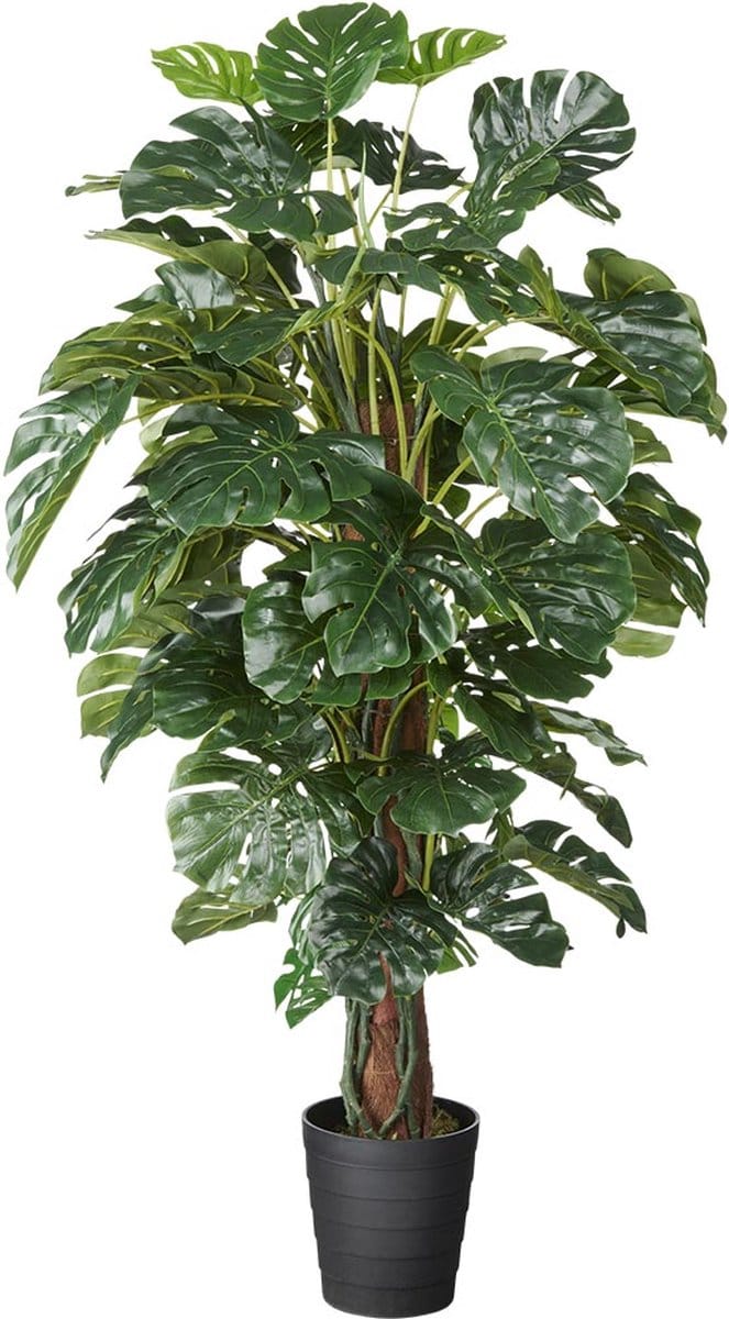 Kunstplant Monstera XL H150cm - HTT Decorations kunstplanten