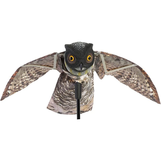 Prowler Uil met Bewegende Vleugel Tuinvogelverschrikker Roofdier Lokvogel Ongedierte gray