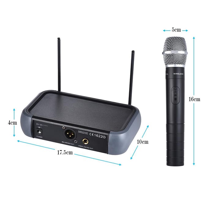 Ammoon Dual Channel VHF Draadloos Handmicrofoonsysteem met Echo Functie 2 Microfoons & 1 EU Plug