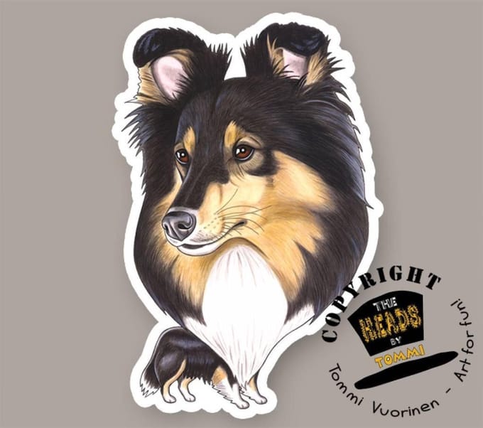 Magneet Hond Shetland Sheepdog, tricolor