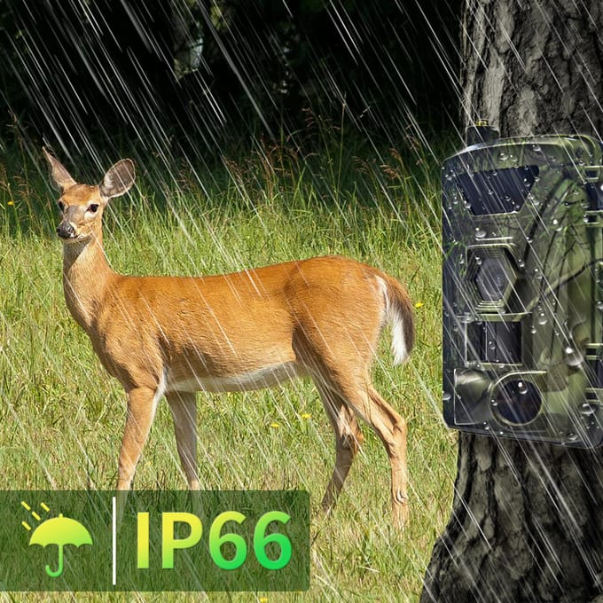 4G Trailcamera 4K Jachtcamera met SIM-kaart 60MP Foto's Snelle Trigger Wildcamera Infrarood groen