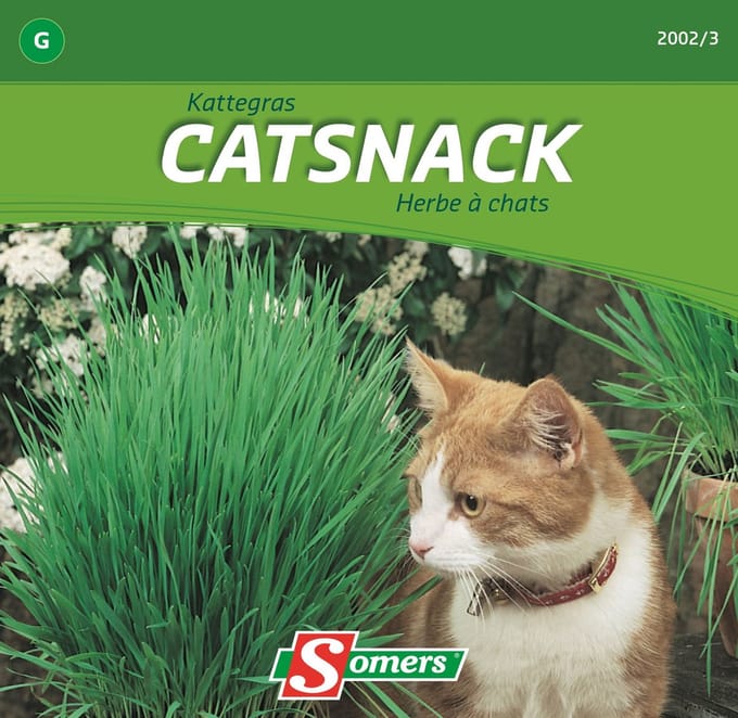 Somers zaden - Kattegras - Catsnack