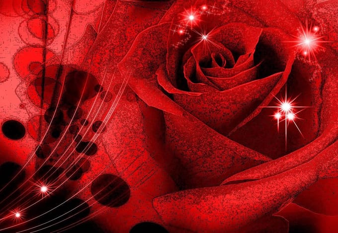 Fotobehang Flower Rose Abstract  | PANORAMIC - 250cm x 104cm | 130g/m2 Vlies