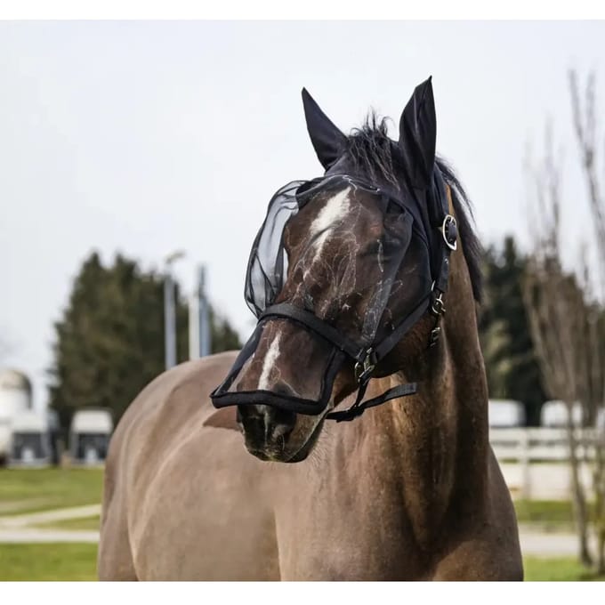 Halster en antivliegen uv maskervoor paarden Equithème