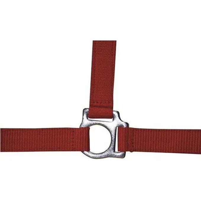 Halster -Stars Economy- rood Koudbloed paard